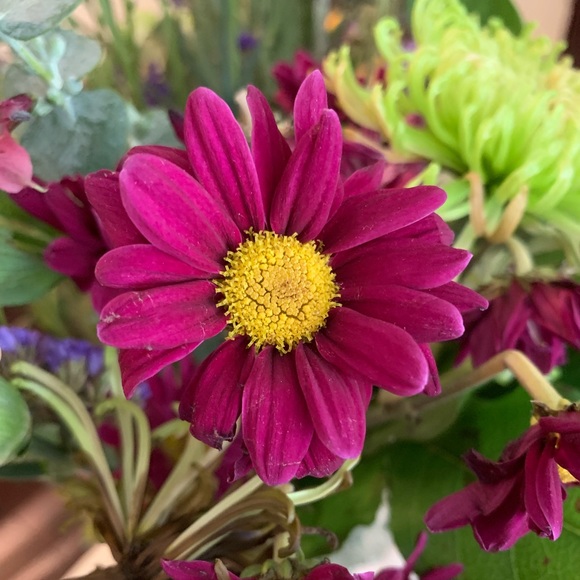 Meet your Posher, Alice - Picture 1 of 1